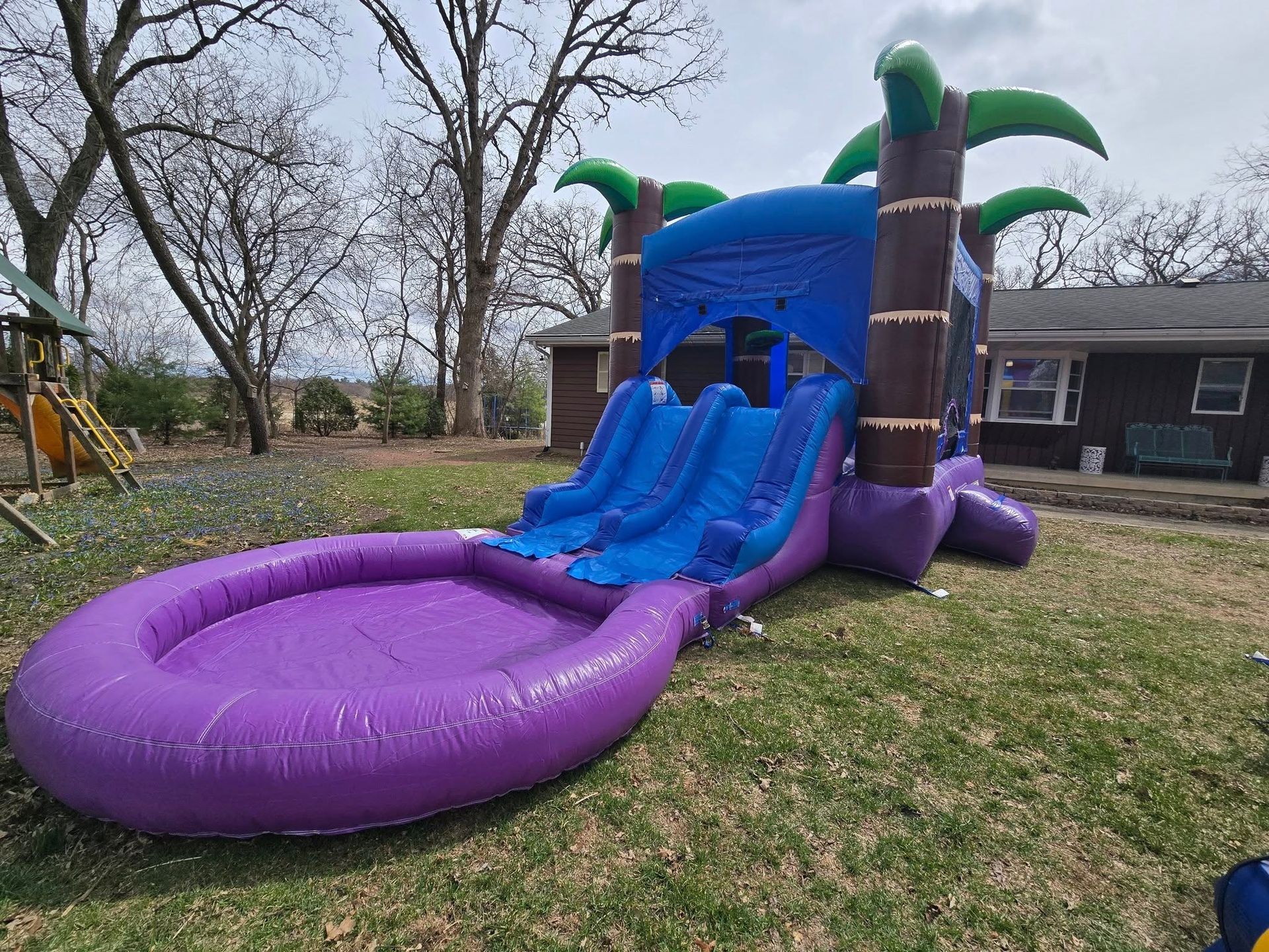 Enchanted Forest Bounce