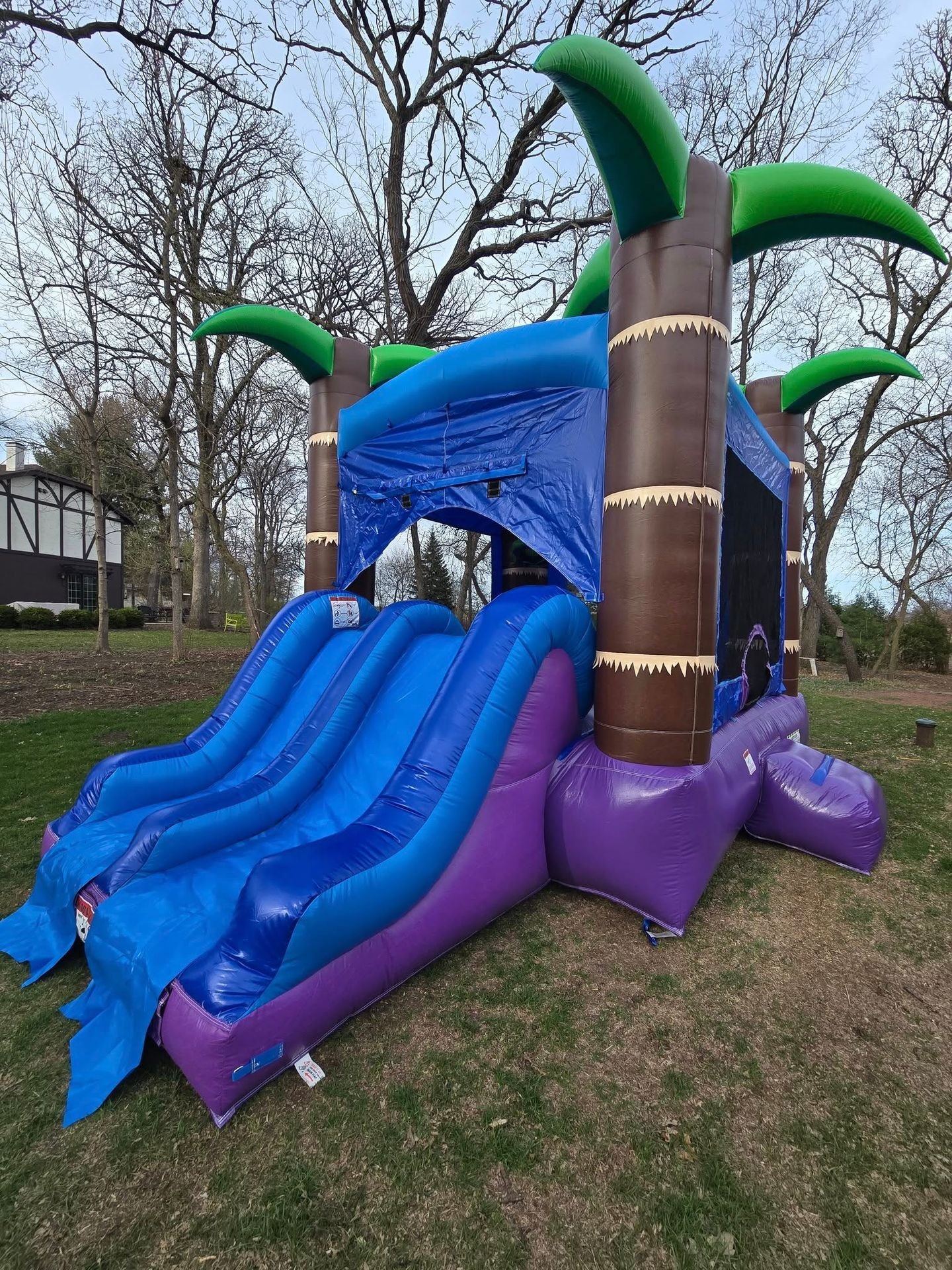 Enchanted Forest Bounce